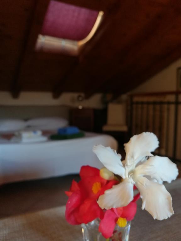 La Calletta Rovinj Zewnętrze zdjęcie