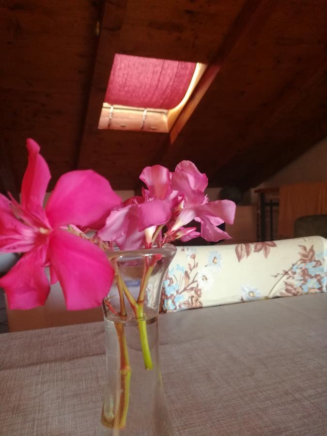 La Calletta Rovinj Zewnętrze zdjęcie